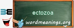 WordMeaning blackboard for ectozoa